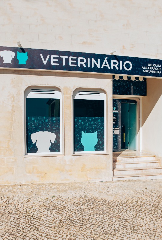 Consultorio Veterinario Sintra Cascais